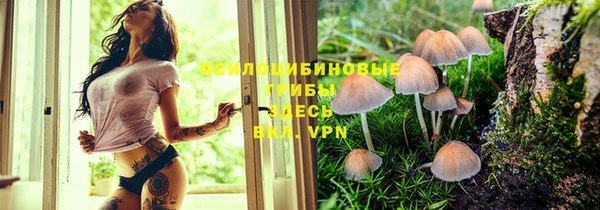 соль ск Алексеевка