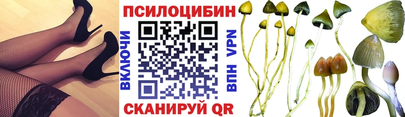 Галлюциногенные грибы Magic Shrooms  Кукмор 